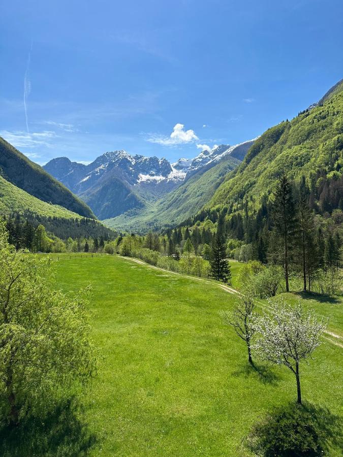 Jozi * Soča