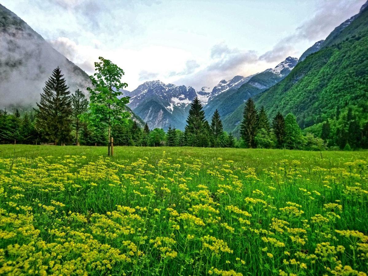 Jozi * Soča