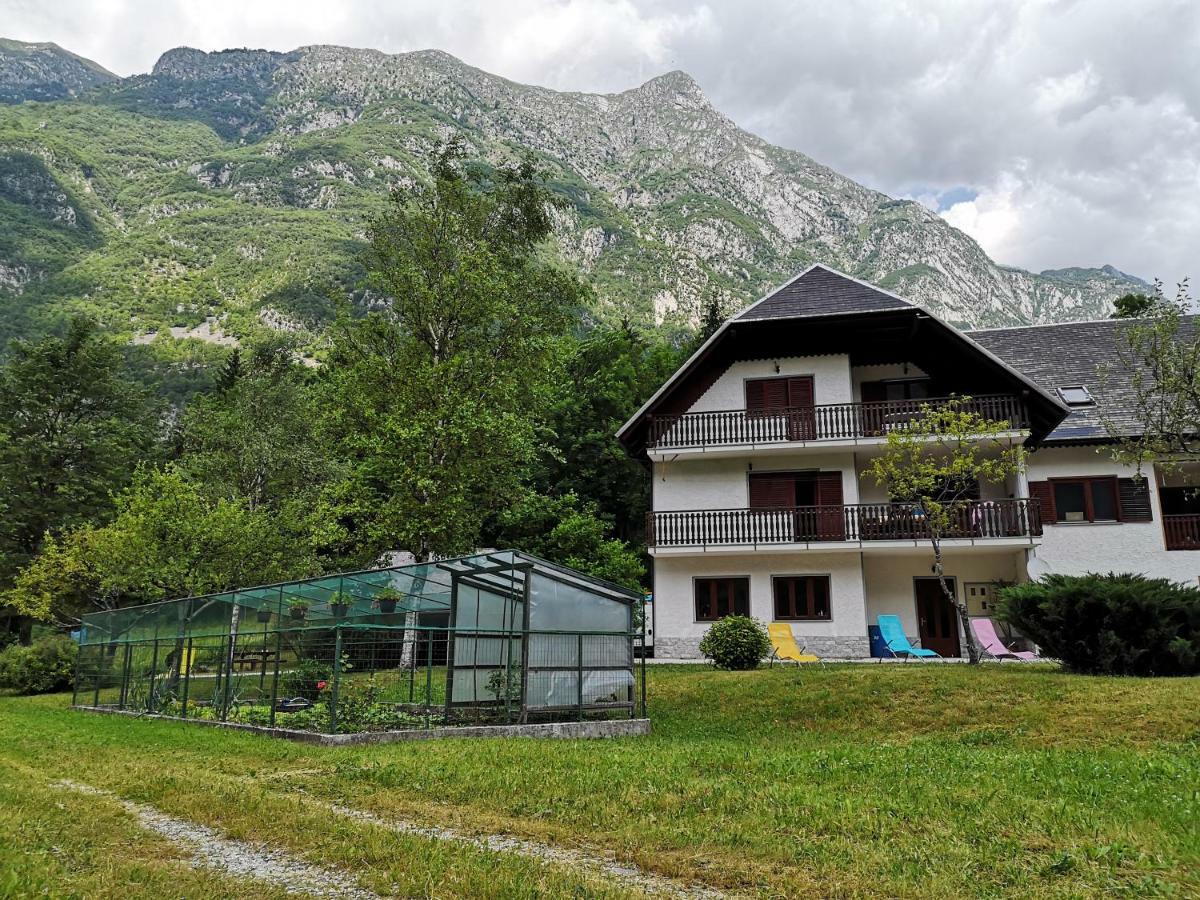 Jozi Soča